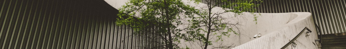 opportunities banner